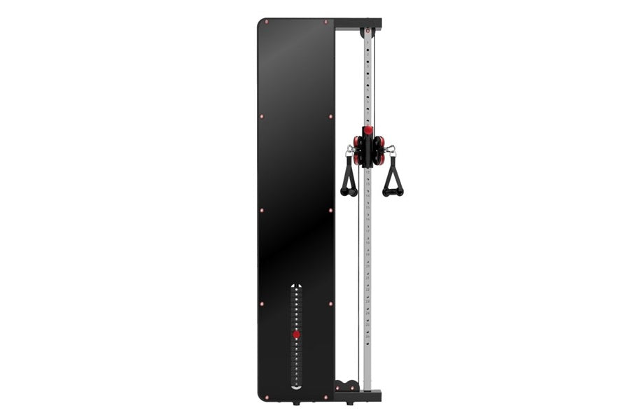 Warrior wall 2025 mounted pulley machine