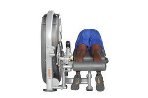 Hoist CL-3408 Standing / Prone Leg Curl