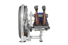 Load image into Gallery viewer, Hoist CL-3408 Standing / Prone Leg Curl
