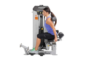 Hoist HD-3600 Ab Crunch/Low Back