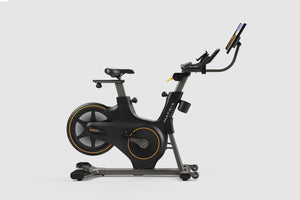 Matrix ICR50 Indoor Cycle  (🎁HOLIDAY SALE - FREE 22" IX Console)