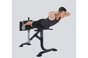 Powertec Dual Hyperextension/Crunch (🎁HOLIDAY SALE)