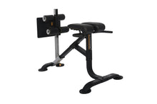 Load image into Gallery viewer, Powertec Dual Hyperextension/Crunch (🎁HOLIDAY SALE)
